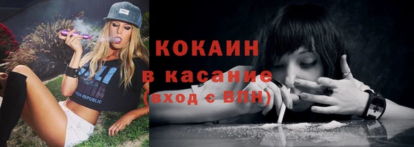 сатива Алзамай