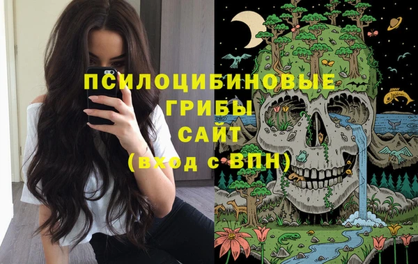 mix Алексеевка