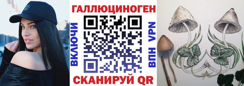 Псилоцибиновые грибы Psilocybe  Купить закладки  Гусиноозёрск 